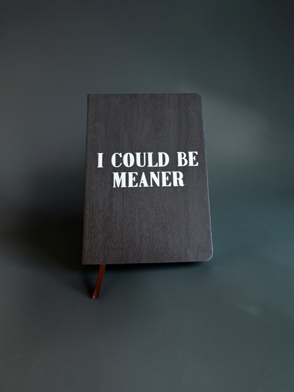 Black Notebook - "I COULD BE MEANER" Cover